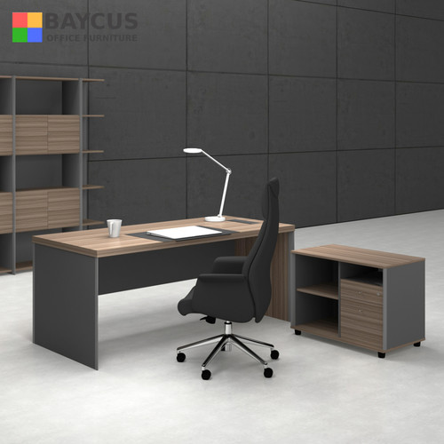 BAYCUS Start Up Office Package 1
