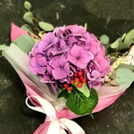 Purple Roundabout