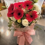 Roku Gerberas & Seasonal Blooms