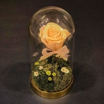 Le Petit Prince Flower
