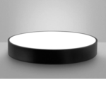 Round Frame Ceiling Light