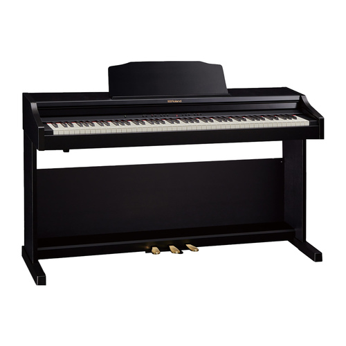 Roland Rp501R