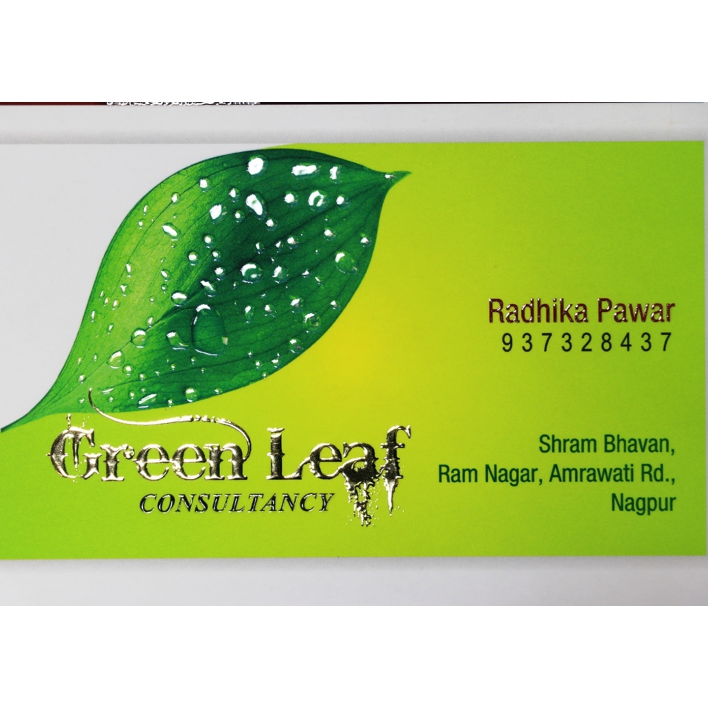 Royal Business Card (1000 pcs) Front/Back