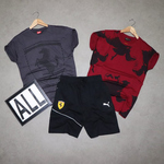 Mens T-shirt ( 2 No.s ) & Shorts Combo