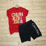 Mens T-shirt & Shorts Combo