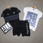 Mens T-shirt ( 2 No.s ) & Shorts Combo