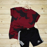 Mens T-shirt & Shorts Combo