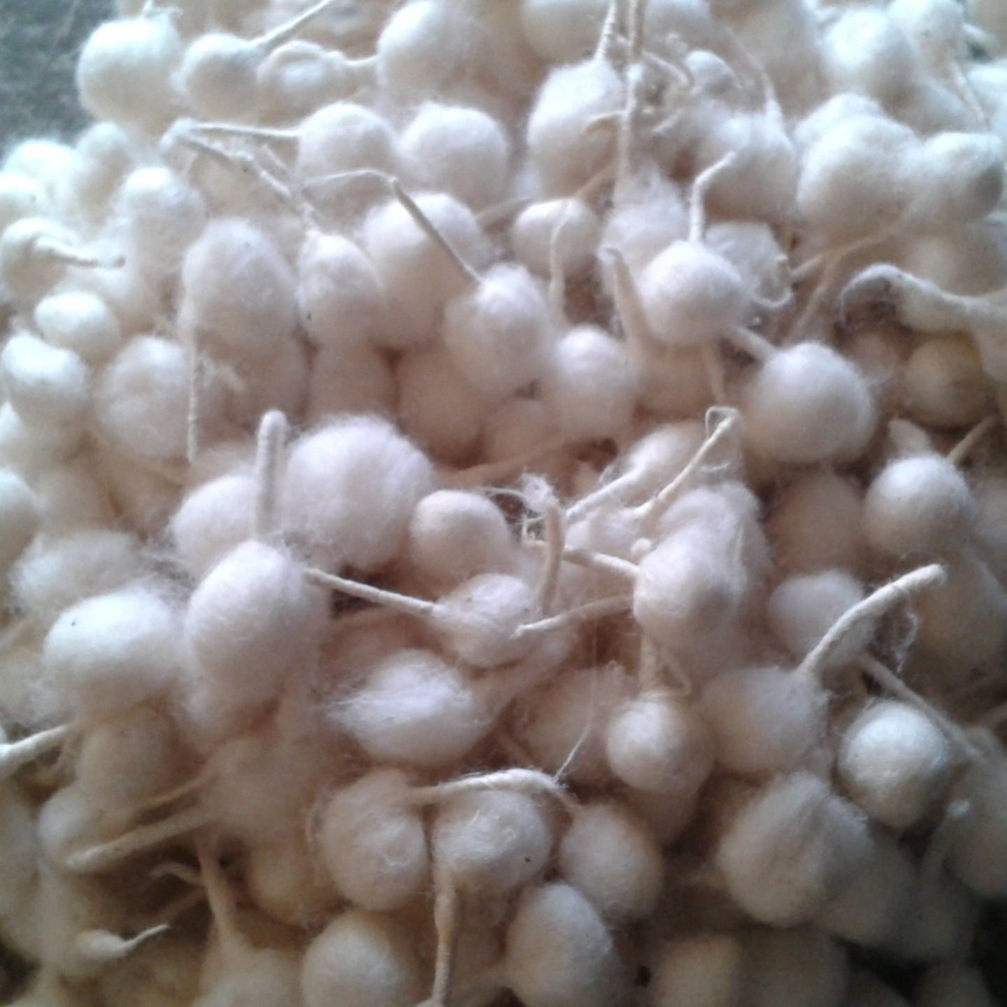 Cotton Wicks(Batti)