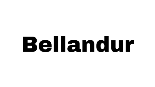 Bellandur,branch (3).png