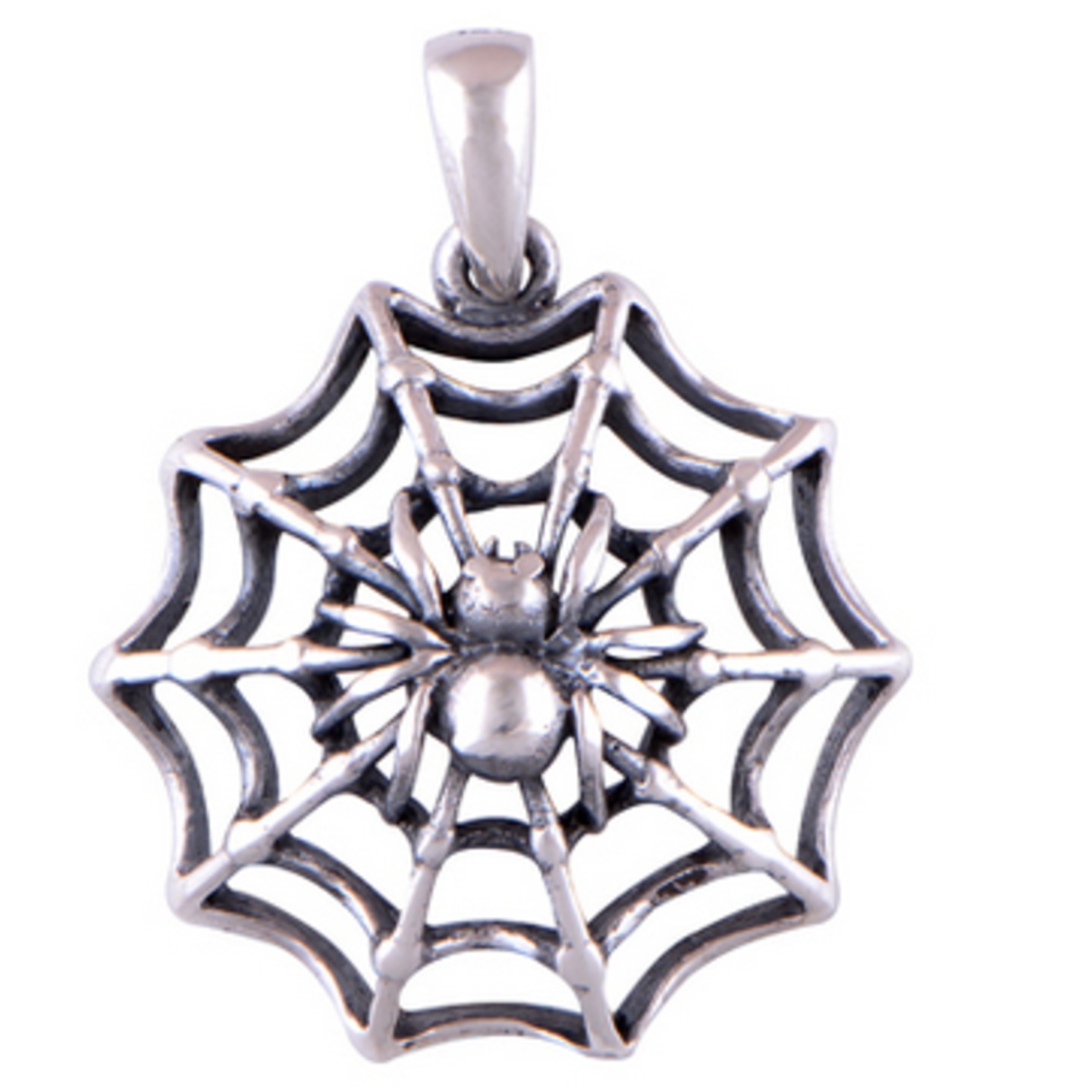 The Spider Web Silver Pendant