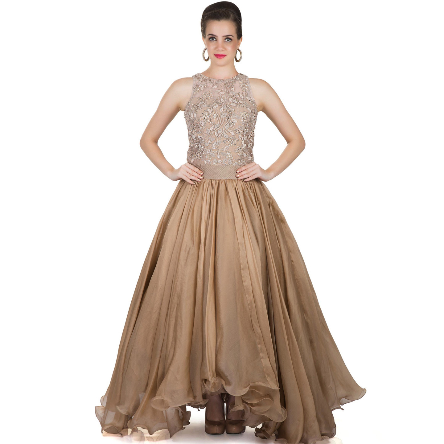 Beige and Gold Organza and Fancy Embroidered Net Gown