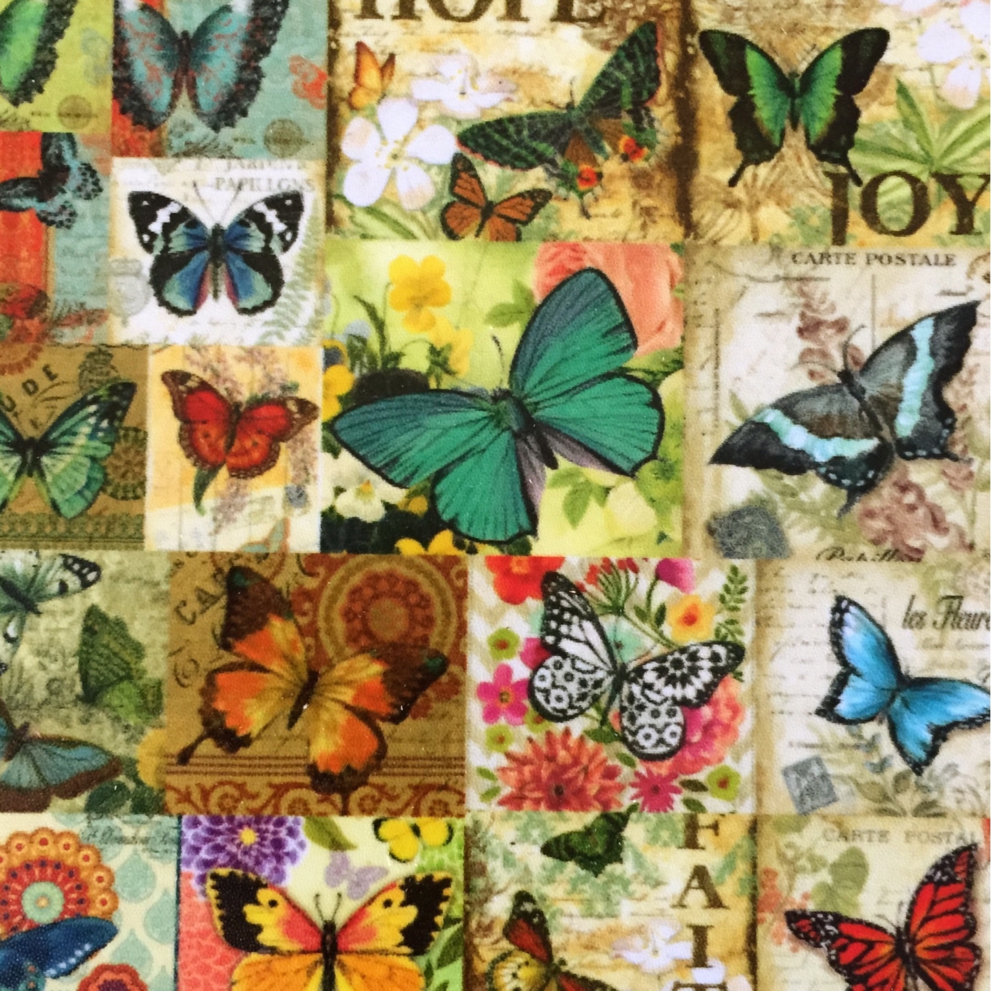 Desi Pop Butterfly Coasters Set of 6