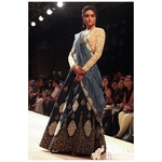 Designer Mulberry Chain Stitched Work Lehenga Choli