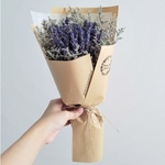 Lavender Dreams