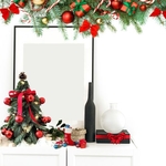 DIY Table Top Mini Christmas Tree Fresh Live Tree