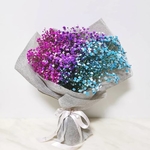 Tri-colour babys breath