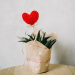 img-1532333657765