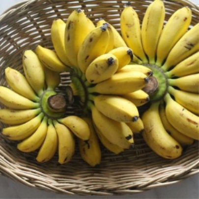 Yelakki BANANA - ಏಲಕಕಿ ಬಾಳೆಹಣಣು 1Kg