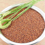 5-superfoods-you-can-find-in-local-grocery-finger-millet-430x550.jpg