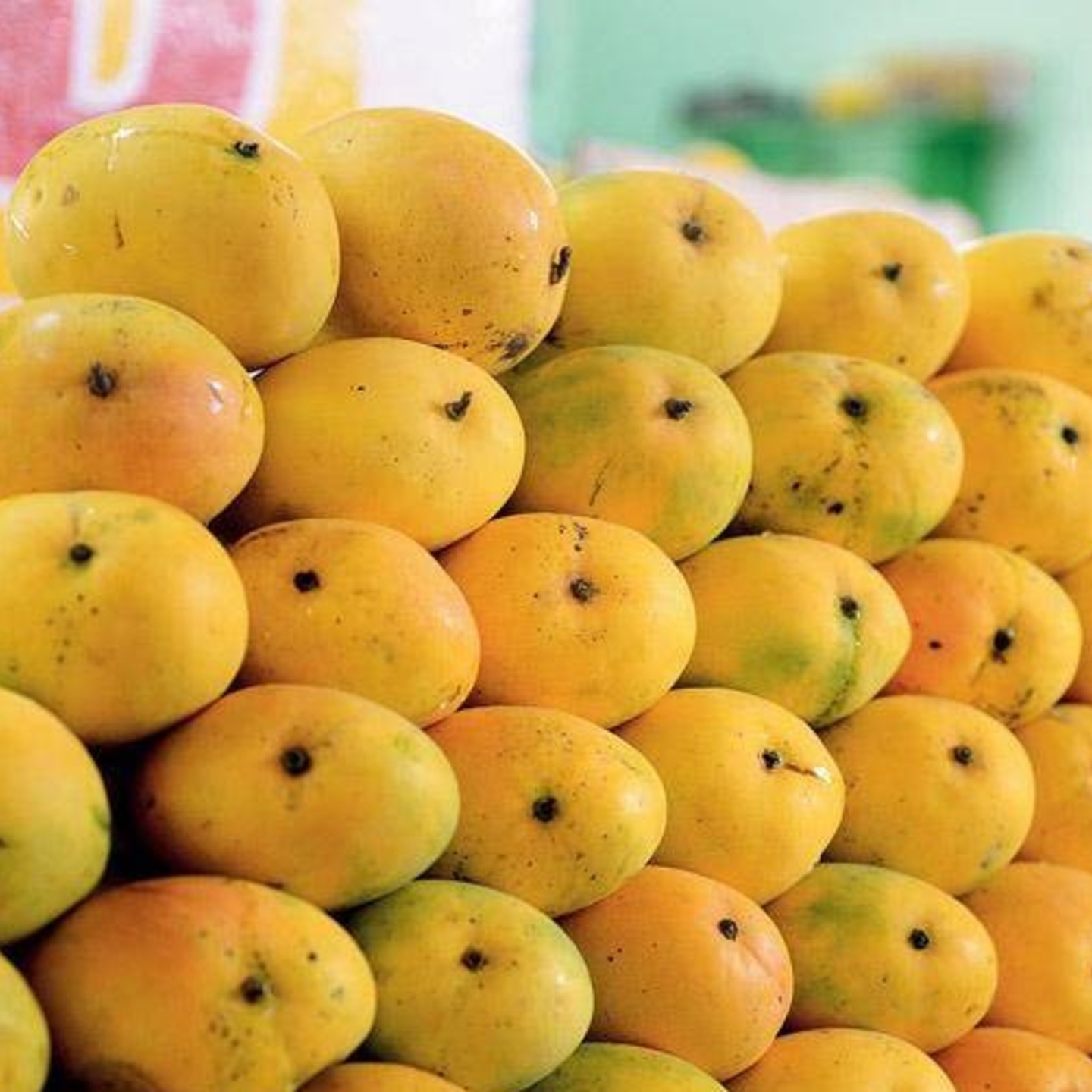 BADAAM Mango