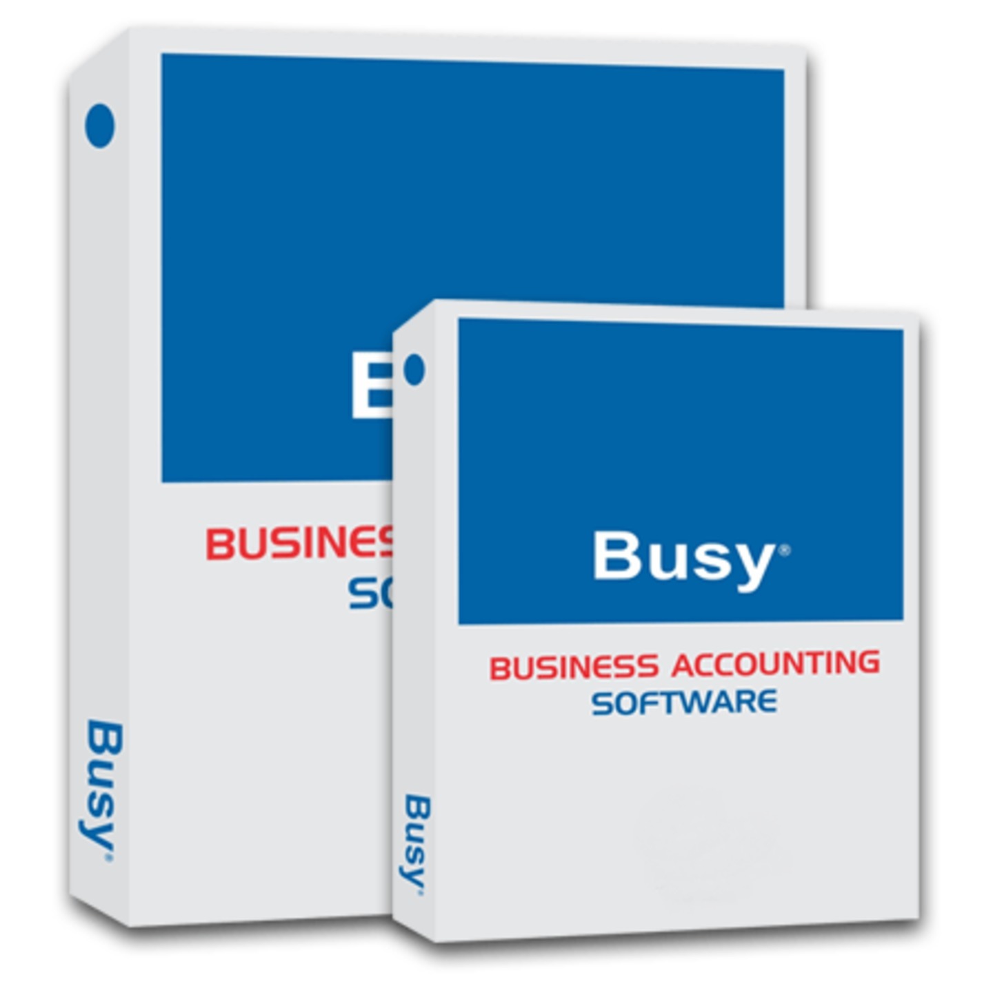 Busy Accounting Software - Standard