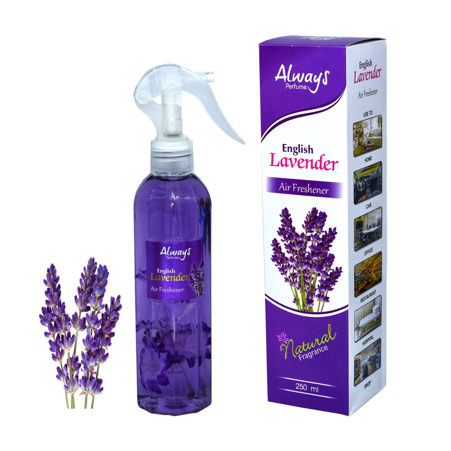 Air Freshnes