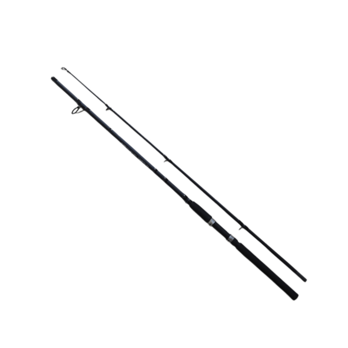 Terry Assassin Spinning Rod