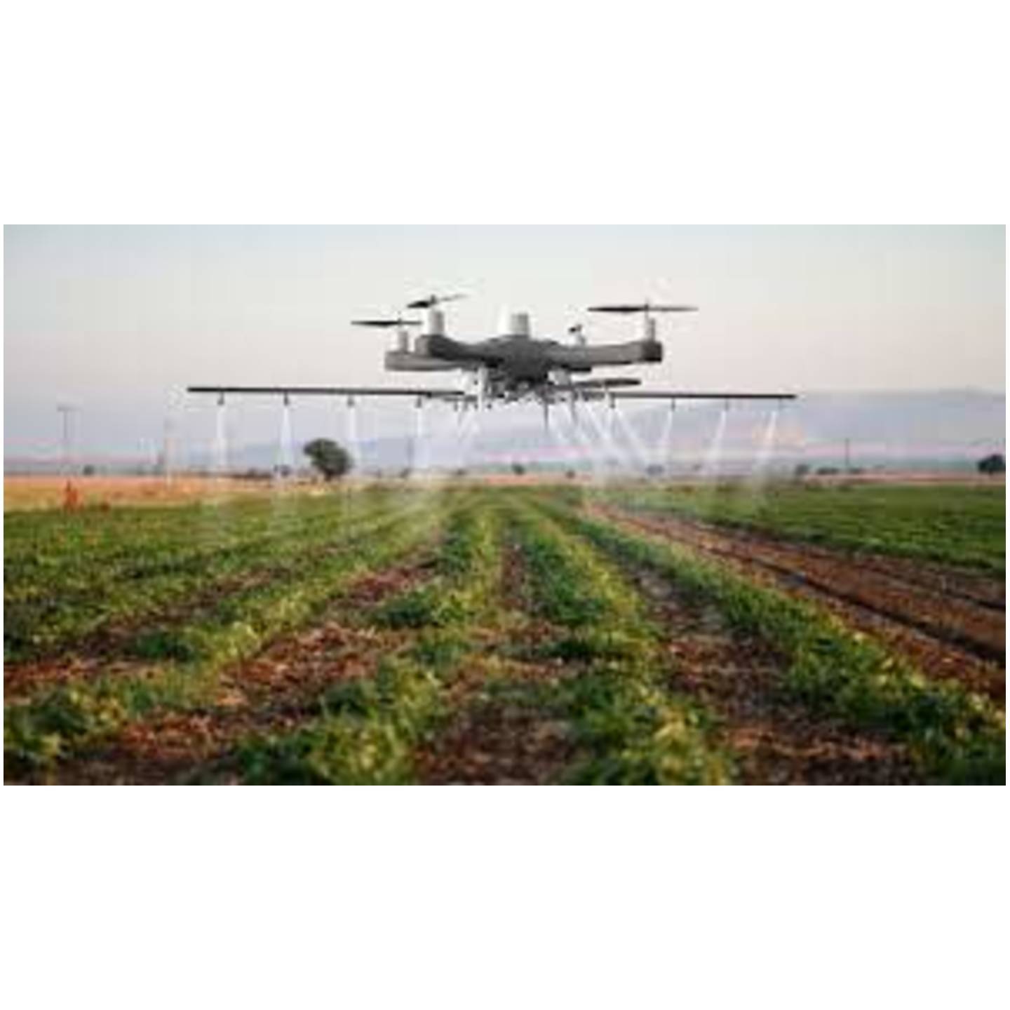 DRONE SPRAYING SERVICES