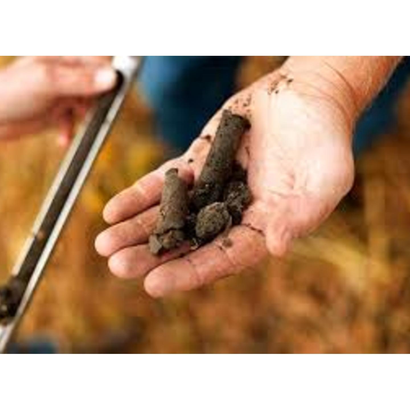 SOIL HEALTH CARD AND TESTING REPORTS