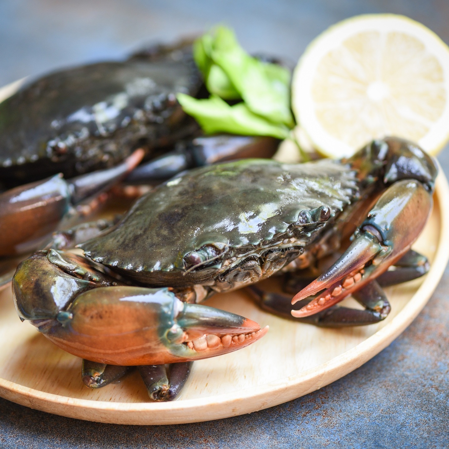 Mangrove  Mud Crab - Medium 5 - 6 per Kg  मैंगरोव खेकडा  मड करैब - मीडियम 5 ते 6 परति किलो