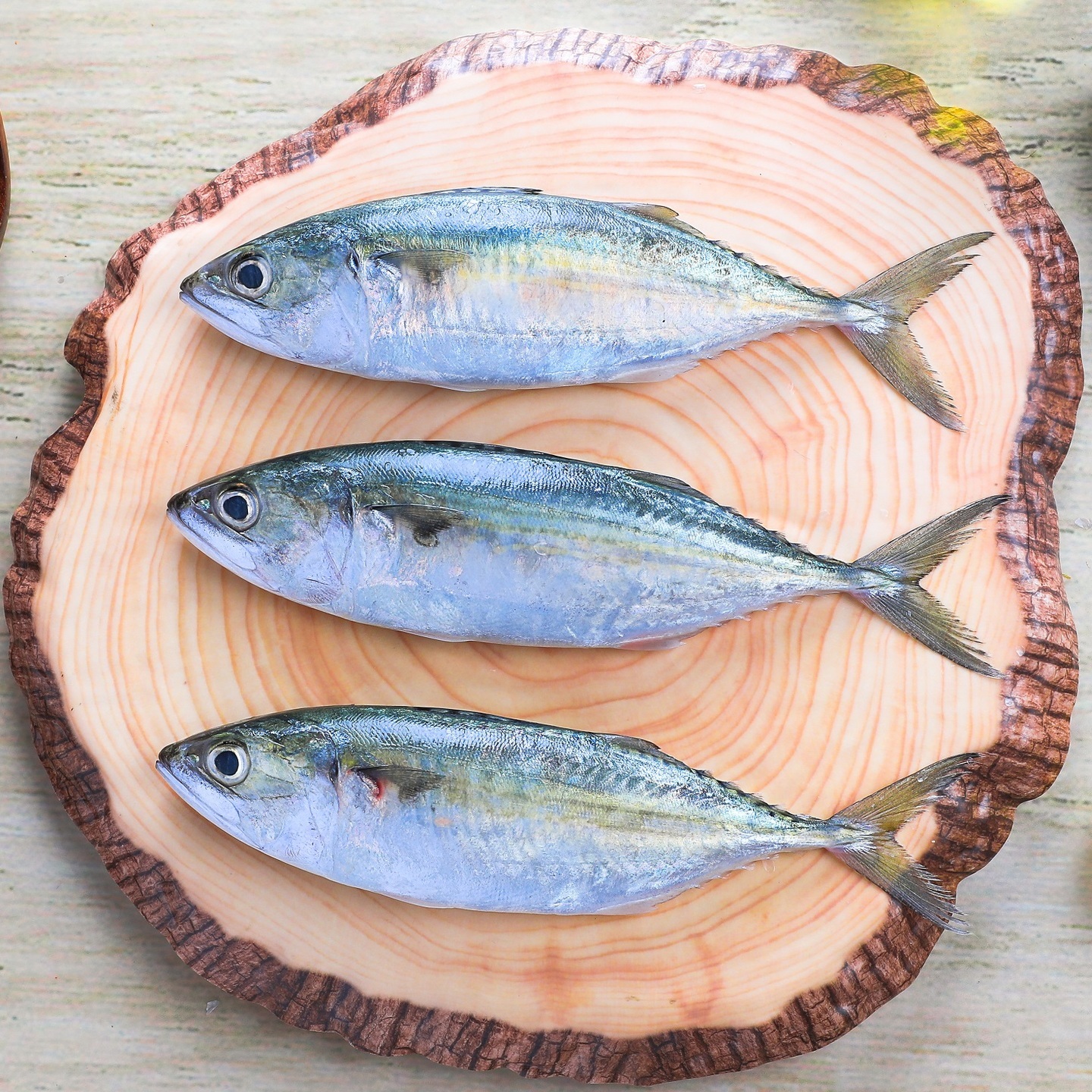 Mackerel  Bangada