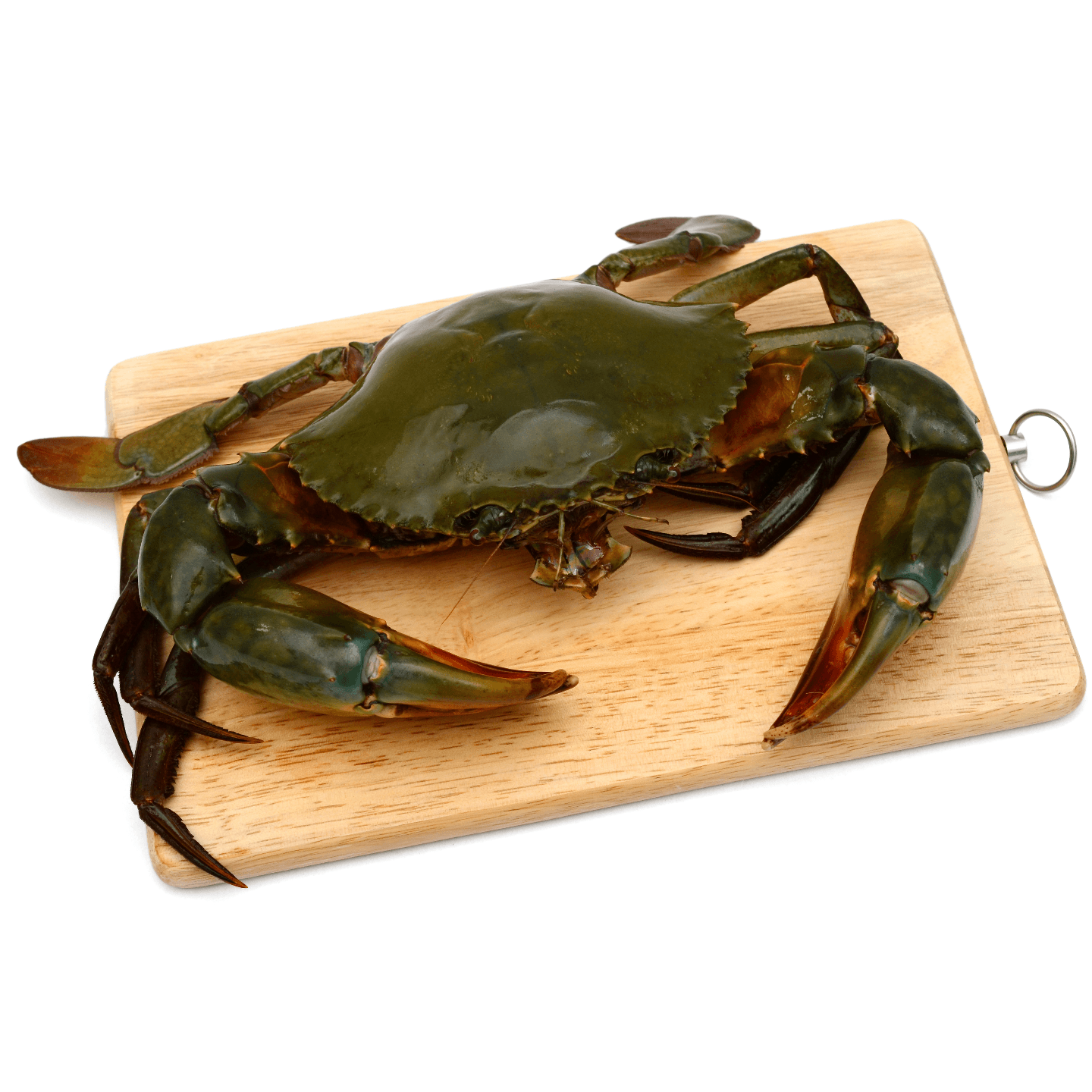 Mangrove  Mud Crab - Extra Large 3 per Kg       -   3