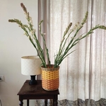 Planters & Baskets