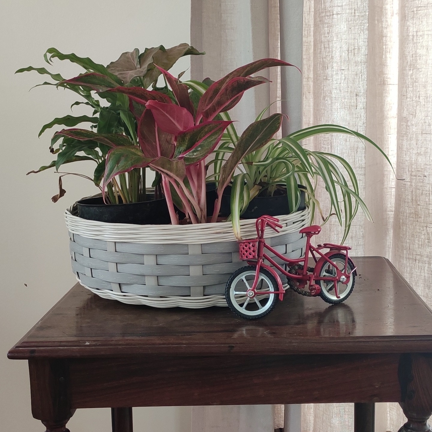 Planters & Baskets