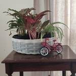 Planters & Baskets