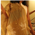 Chanderi Embroidery Dupatta