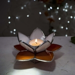 img-1541159414390