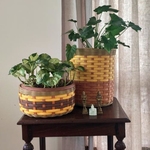 Planters & Baskets