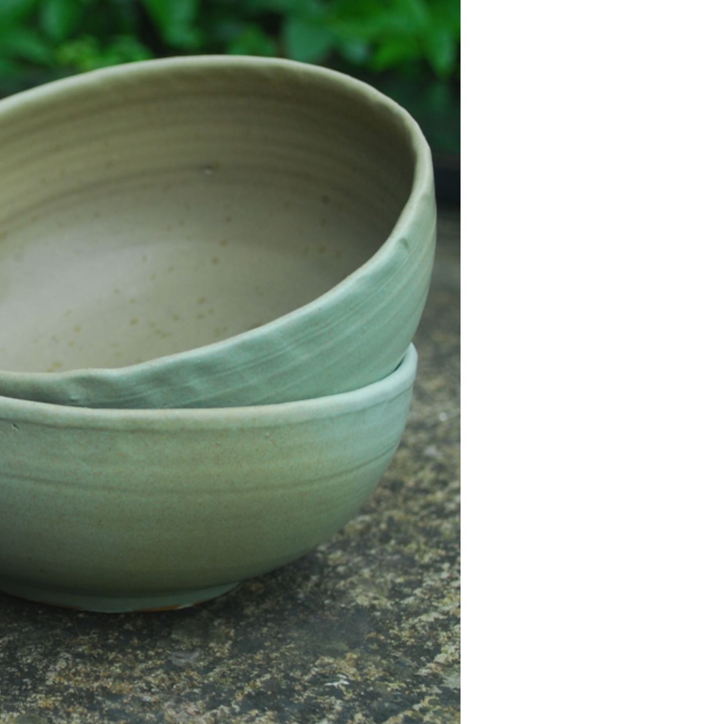 Ceramic Curry Bowl