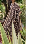 Dupatta Kalamkari - Vines in Motion