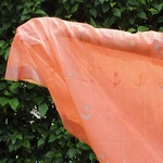 Peach Drape