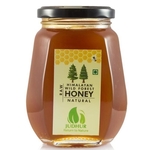 Himalayan Wild Forest Honey Organic