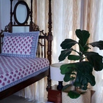 Pretty in Pink - Single Bed Sheet