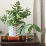 Planters & Baskets
