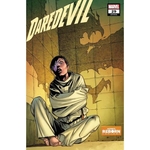 DAREDEVIL #29 PACHECO REBORN VAR