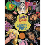 HARLEY QUINN & THE BIRDS OF PREY #2 (OF 4) (MR)