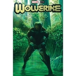 WOLVERINE 1 ALEX ROSS VAR DX