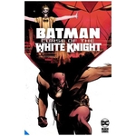 BATMAN CURSE OF THE WHITE KNIGHT TP (MR)