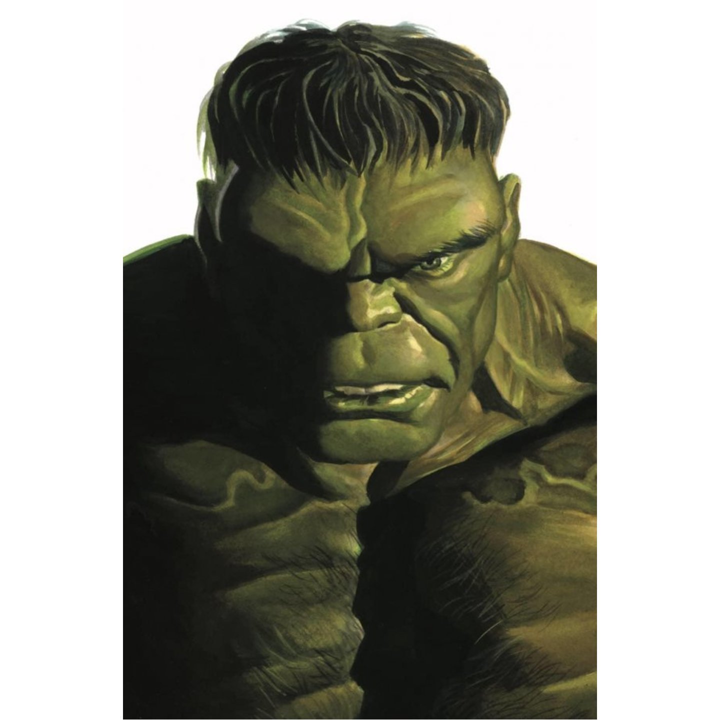 Alex Ross Hulk. Доктор Росс Халк невероятный Халк. Alex Ross Timeless.