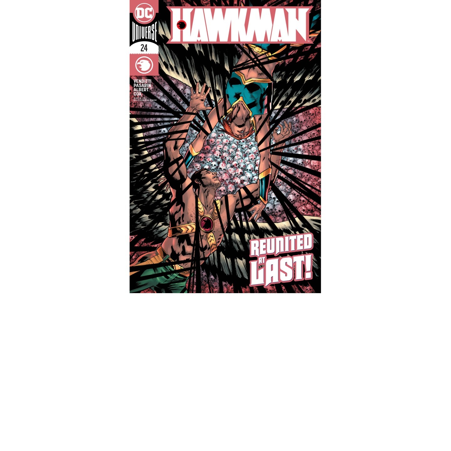 HAWKMAN 24